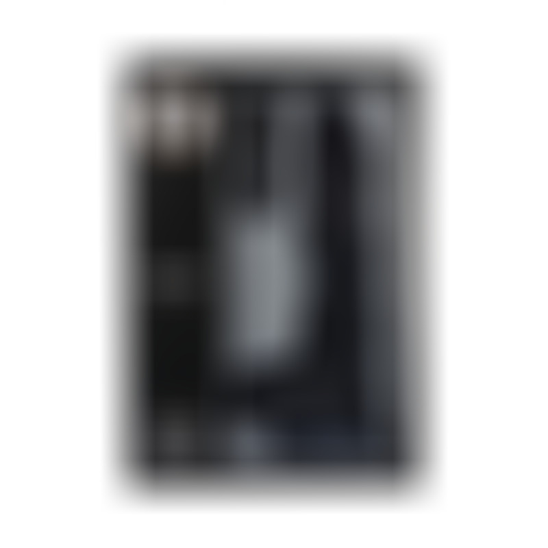 Realistic Vibrator & Rotator R10 Black 21 cm Remote Control