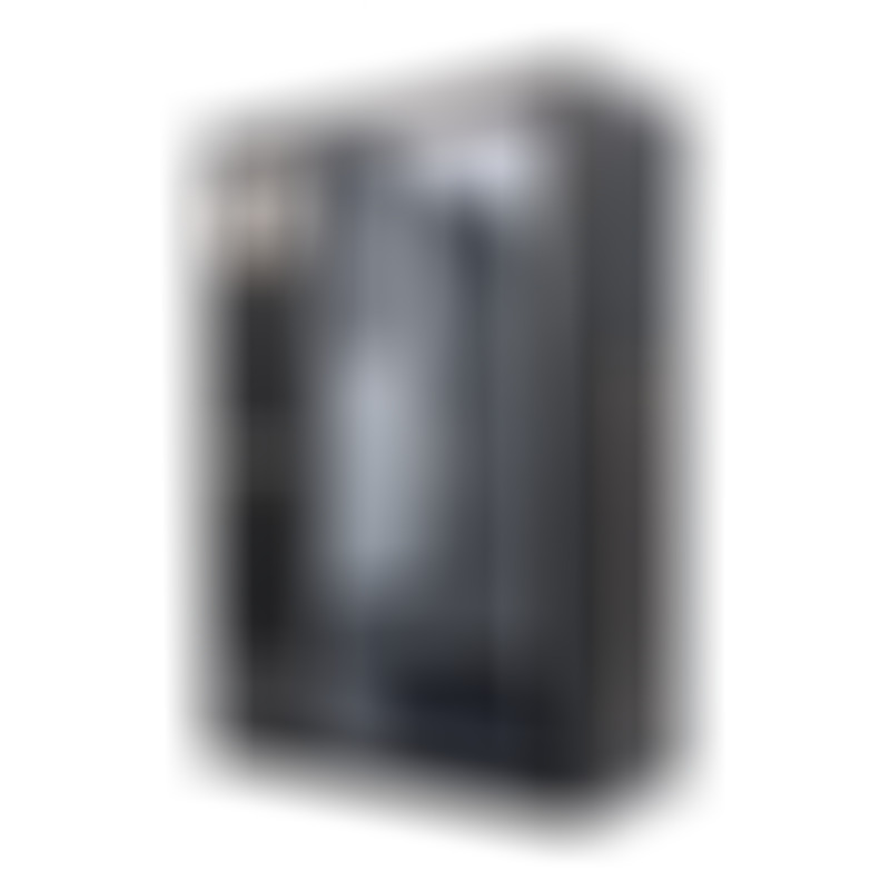 Realistic Vibrator & Rotator R10 Black 21 cm Remote Control