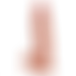 Dildo Pene c/ Testículos Flesh 22,86 cm