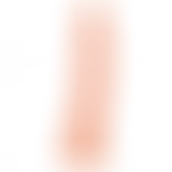 Pene Realístico Justin 21,5 cm