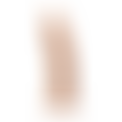 Vibrador Model 2 Flesh con Mando