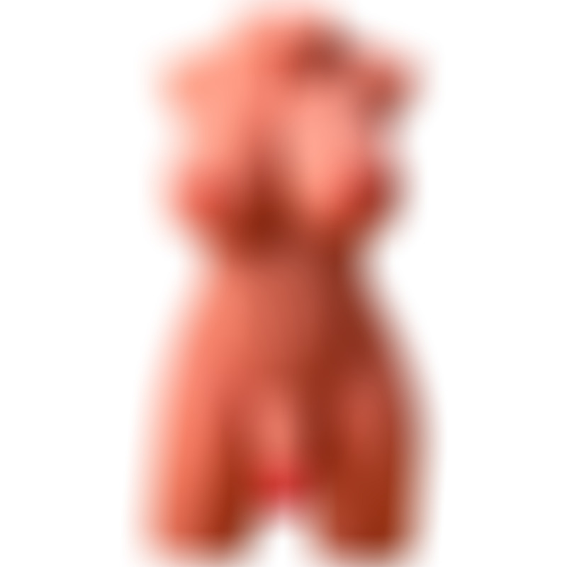 Miah Lady Boy Torso Femenino con Dildo con Vibración y Thrusting
