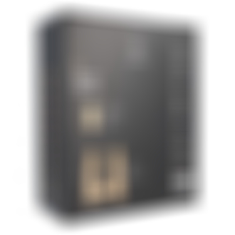 Vibrador Realistico R16 Negro con Control Remoto