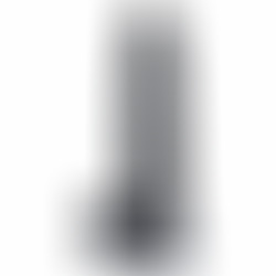 Up & Down Realistic Vibrator R14 Black Remote Control