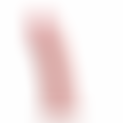 Dildo Realista Terence Medium