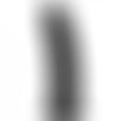 Pene Realístico Negro Modelo 2