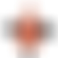 Pénis Réaliste avec Harnais Creux 24 cm