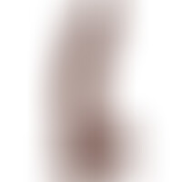 King Cock Pénis Réaliste avec Testicules 23 cm Marron