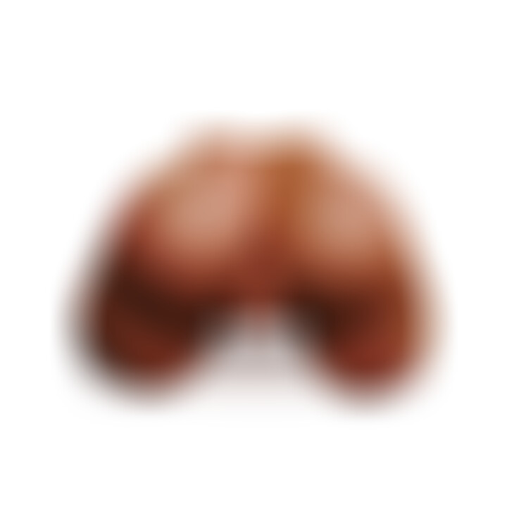 Vagin et Anus Extreme Toyz en Levrette 