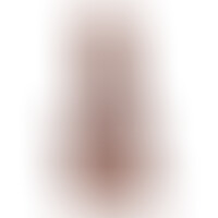 Mr Intense 2 Pene Realístico 16 cm PVC