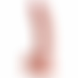 King Cock Pene Realístico con Testículos 23 cm