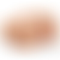 Dirty Talk Interactive Mini Fuck Me Silly avec Voix
