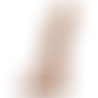 Fleshjack Boys Allen King Gode Silicone