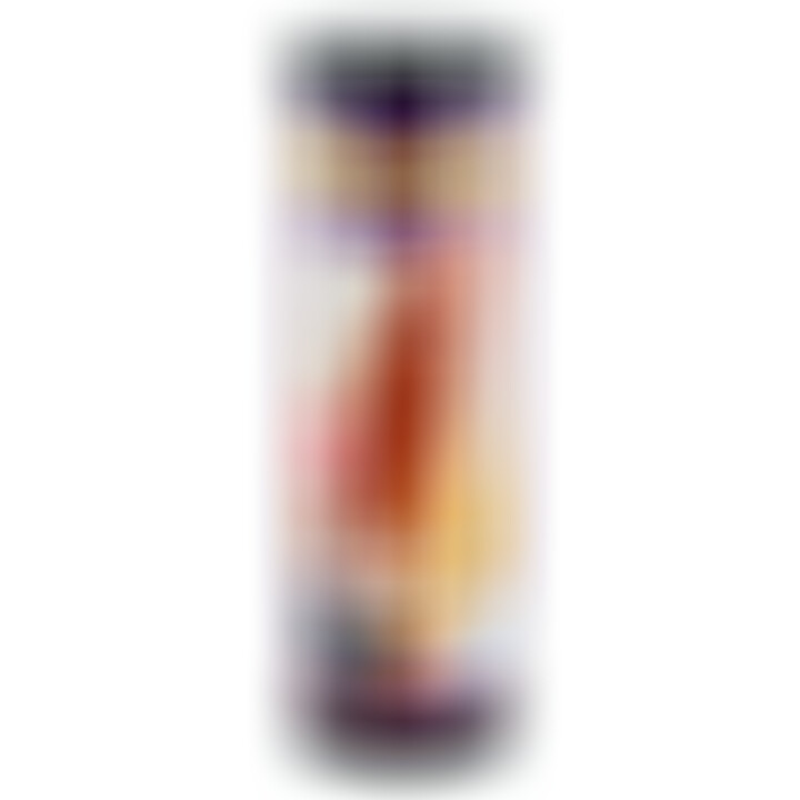 Kit Cloneur de Pénis avec Vibromasseur