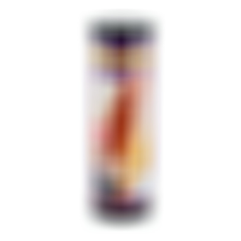 Kit Cloneur de Pénis avec Vibromasseur
