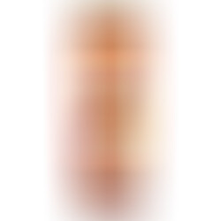 Kit Clonador de Pene Personalizado