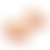 Big Boobs Torse Féminin 6,5 Kg