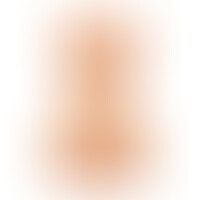Big Boobs Torse Féminin 6,5 Kg