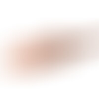 Masturbateur anal interactif PDX