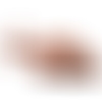 Masturbateur anal interactif PDX