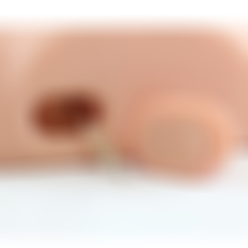 Masturbateur anal interactif PDX