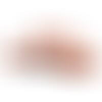 Masturbateur anal interactif PDX