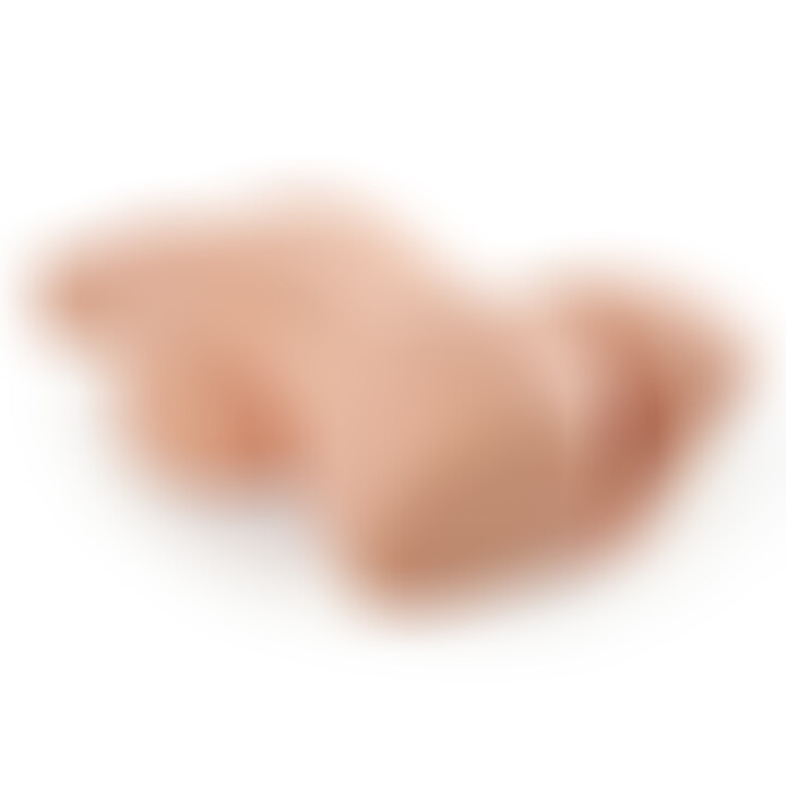 Perfect 10 Torse
