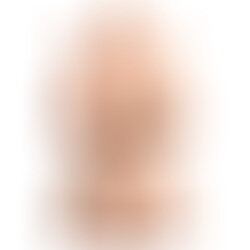 Perfect 10 Torso