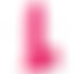 R12 Rosa
