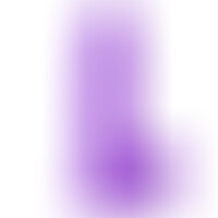R16 Violet