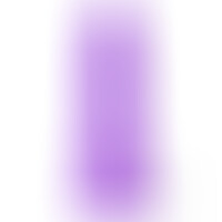 R16 Violet
