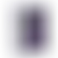 R16 Violet