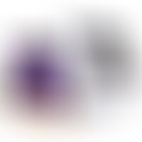 R16 Violet