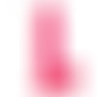R16 Rose