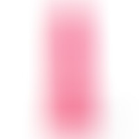 R16 Rose