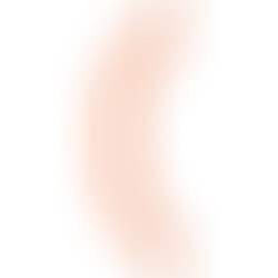 Double Dong 14 Flesh