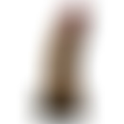 Hucha Pene Marrón