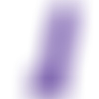 Pénis Réaliste Violet XL