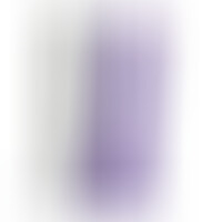Pénis Réaliste Violet XL