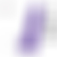 Pénis Réaliste Violet XL
