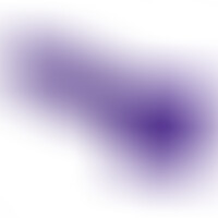 Pénis Réaliste Violet XL