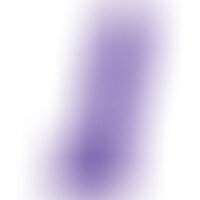 Pénis Réaliste Mauve L