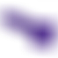 Pénis Réaliste Mauve L