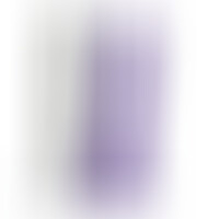 Pénis Réaliste Mauve L