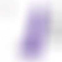 Pénis Réaliste Mauve L