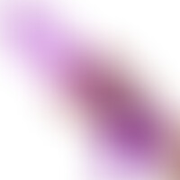 Queen Size 30,5 cm Violet