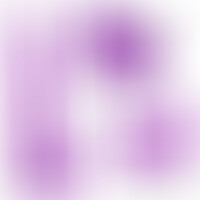 Queen Size 30,5 cm Violet