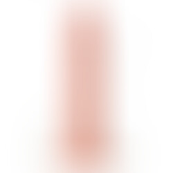 Vibrador Realístico R2 21 cm Control Remoto