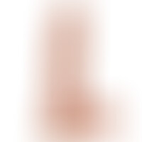 Extreme XL Dildo 25,5 cm