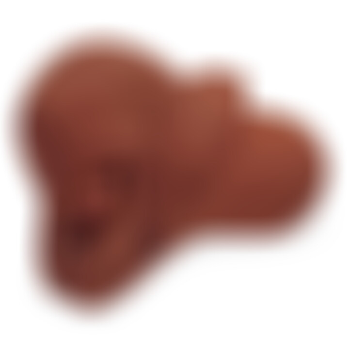 Pick Your Pleasure Stroker Anus y Vagin Marron